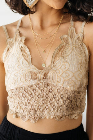 Live In Lace Bralette in Taupe-[option4]-[option5]-[option6]-[option7]-[option8]-Womens-Clothing-Shop
